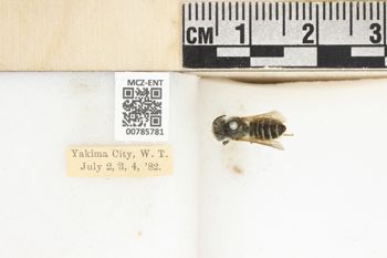 Media type: image;   Entomology 785781 Aspect: labels